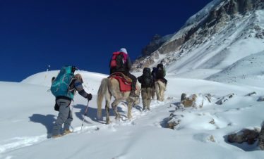 Annapurna Circuit Trek