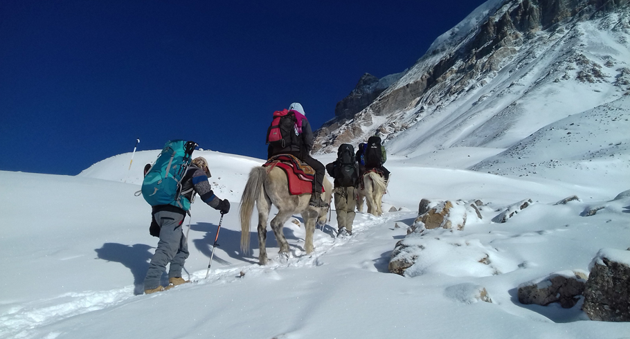 Annapurna Circuit Trek