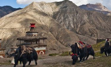 Upper Dolpo Trek