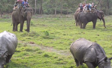 Chitwan Jungle Safari